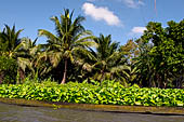 Scenery along the canal leading to Damnoen Saduak Floating Market. Thailand